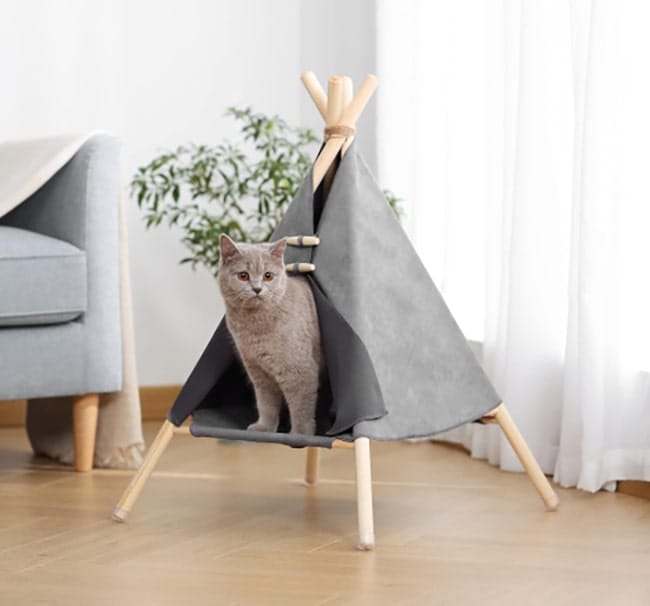 Quexer – Online Shopping Marketplace in India 41 hotspot-carusel-cat-tent-opt-opt